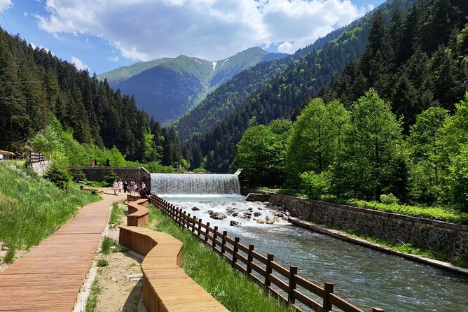 Uzungol Tour: Full-Day Nature Adventure with Tea Factory Visit - Who this tour is best for (and who should skip it)