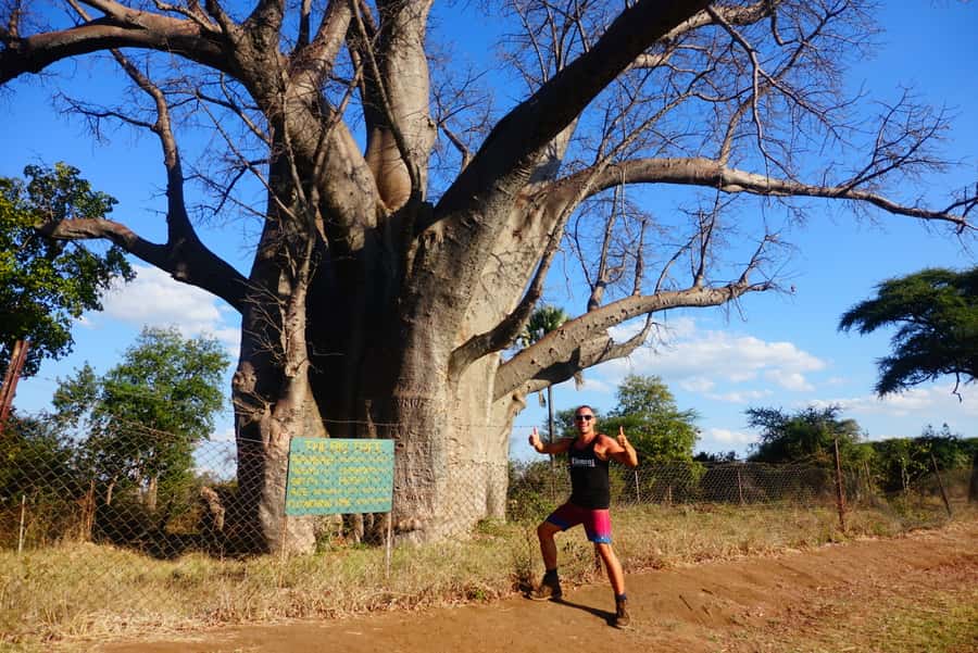 Victoria Falls: Cultural Tour with High Tea - The Oldest Hotel in Zimbabwe and Stanley’s Terrace High Tea