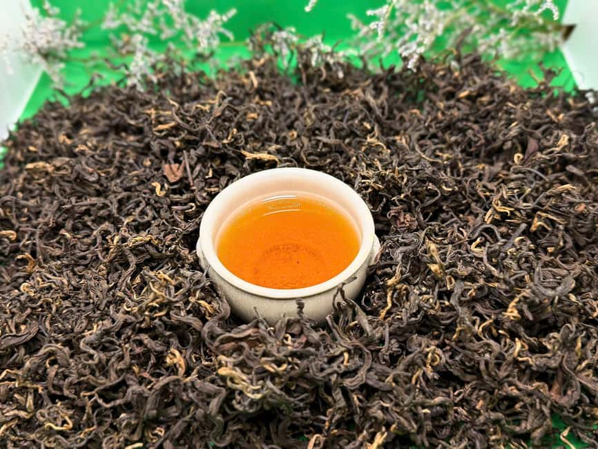 Vietnam Tea Tasting - Giang Egg Coffee & Train Street Visit - Which option should you choose: morning train, morning coffee, or afternoon?