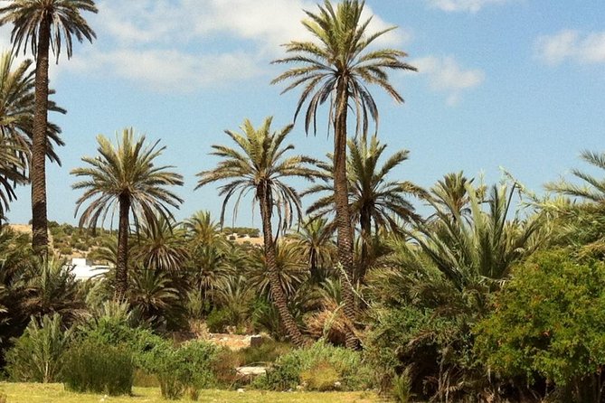 Visit the Oasis & Tea at the basket maker. - Key highlights you’ll care about