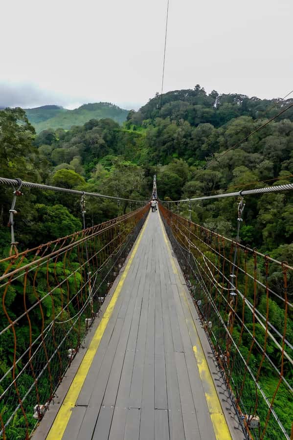 Volcano, Hot Spring, Mud Bath & Tea plantation all included - Key highlights