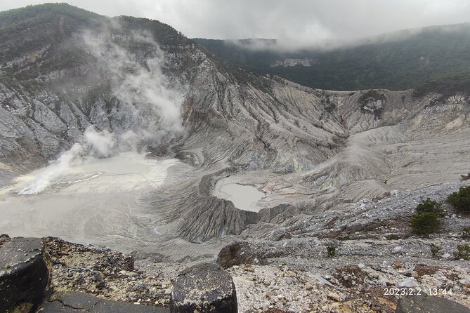 Volcano, Hot Spring, Tea Factory, rice fields and Coffee Tour - Tangkuban Perahu: watching sulfur fumes from an active volcano