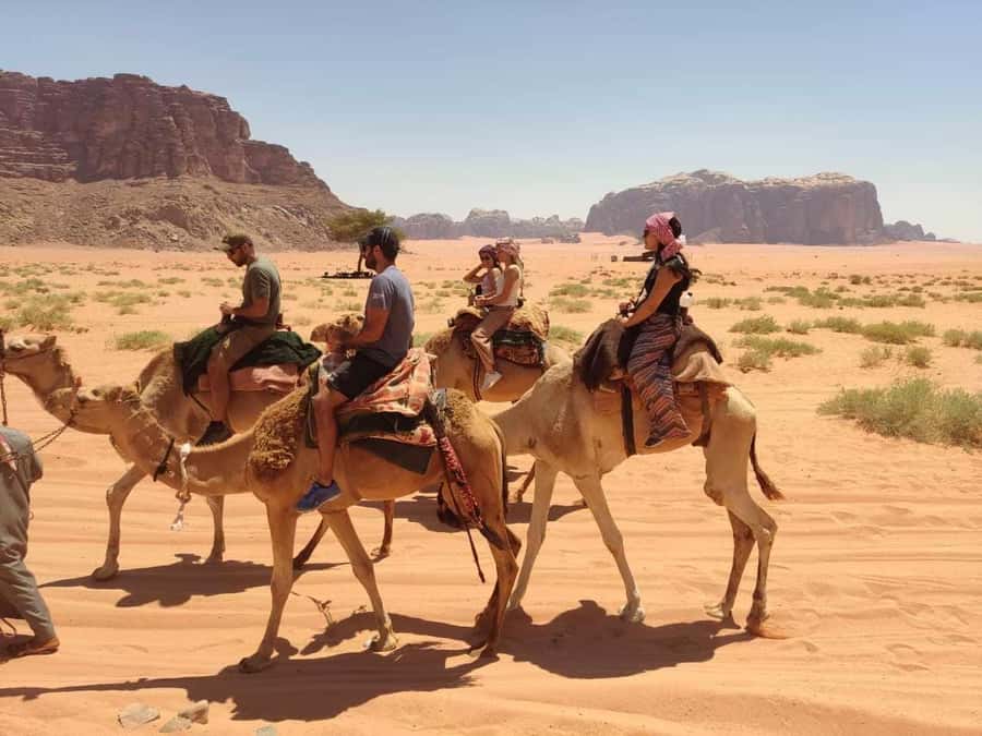Wadi Rum: Camel Ride with tea and Bedouin Guide - Al Ramal Red Sand Dune: tea break + views that actually land