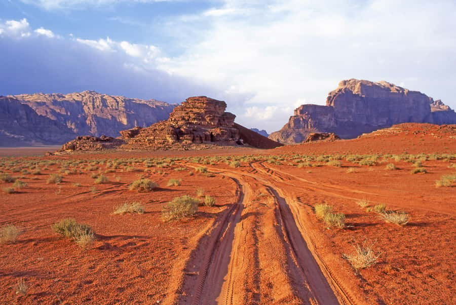 Wadi Rum: Camel Ride with tea and Bedouin Guide - Price value in Wadi Rum: what $53 includes and what costs extra
