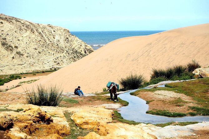 Walk to the cascade and marabout of Sidi Mbark & for a tea to Kaouki - Key Things to Know Before You Go