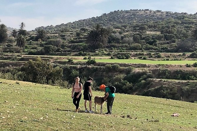Walk to the cascade and marabout of Sidi Mbark & for a tea to Kaouki - Walking From Essaouira to Sidi Mbark’s Dunes and Sea