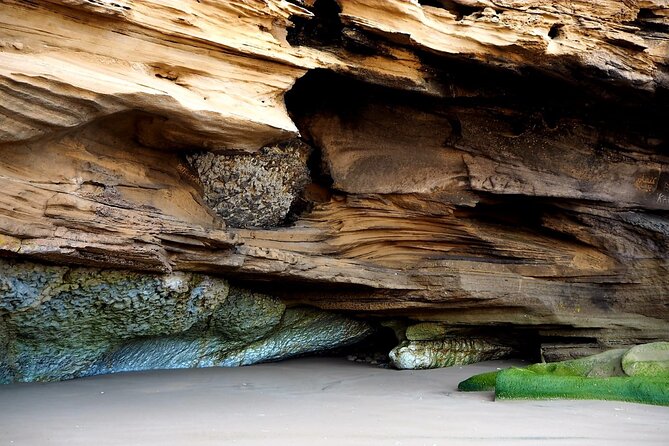 Walk to the cascade and marabout of Sidi Mbark & for a tea to Kaouki - Comfort Tips: Weather, Water, and the Real Pace