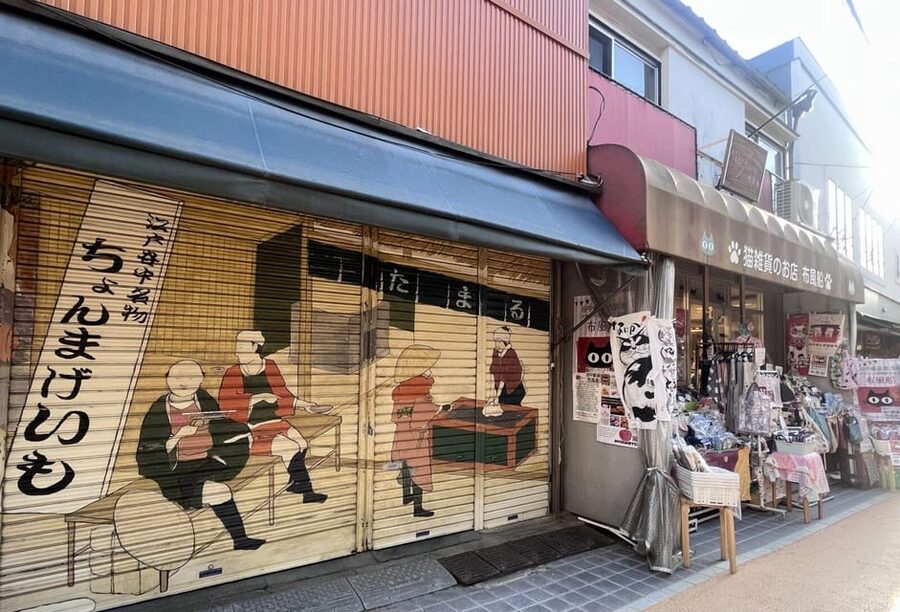 Walking Tour: Yanaka,Nezu& Sendagi: Tea Ceremony & Old Tokyo - Key highlights worth your attention