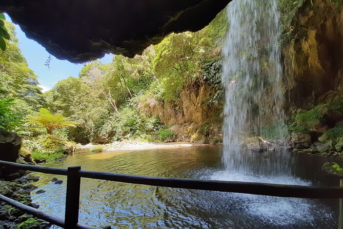 Waterfalls Hike, Moinho do Felix with tea plantation - Price and logistics: what $72.25 covers (and what could cost extra)