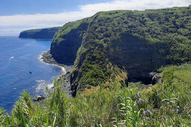 Waterfalls Hike, Moinho do Felix with tea plantation - Plantacoes de Cha Gorreana: a fast tea plantation look you can actually use