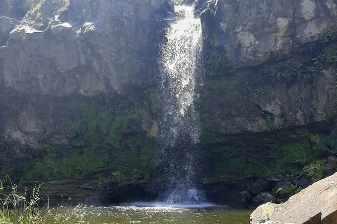 Waterfalls Hike, Moinho do Felix with tea plantation - Guide style on this tour (including Samuel Rego’s approach)