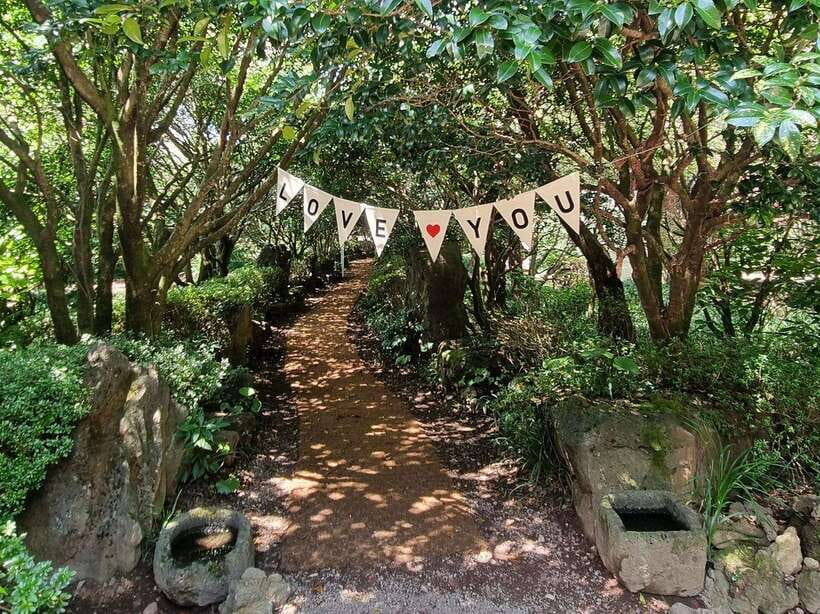 West & South Jeju: Hallasan Trail, Waterfall, Tea Field Tour - One-Day West and South Jeju: Why This Route Works