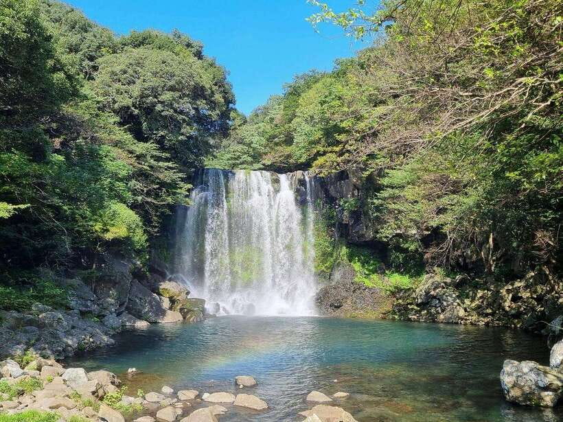 West & South Jeju: Hallasan Trail, Waterfall, Tea Field Tour - Getting Picked Up and Dropped Off: Ocean Suites vs Shilla Duty Free