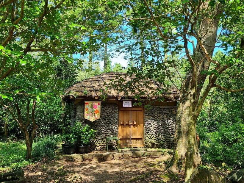 West & South Jeju: Hallasan Trail, Waterfall, Tea Field Tour - Cheonjeyeon Waterfalls: Three Tiers, Subtropical Forest, Bridge Views