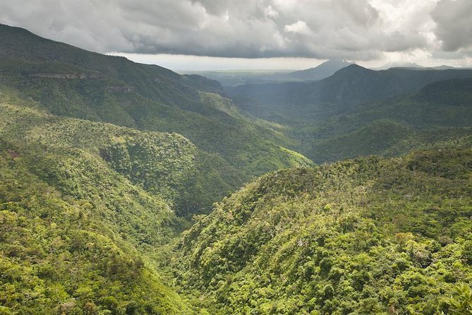 Wild South: Full-Day tour incl Rhumerie St Aubin, Bois cheri Tea factory & Lunch - Black River Gorges National Park viewpoint: quick rainforest drama