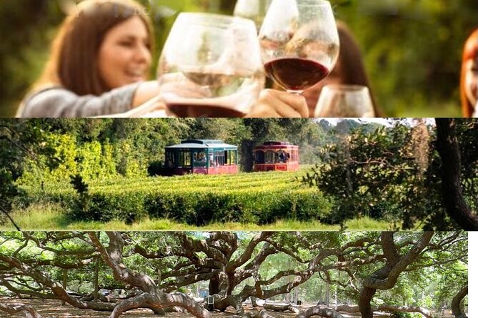 Wine Sippin'-Tea Drinkin'-Tree Huggin' Lowcountry Sightseeing - Key highlights you’ll care about