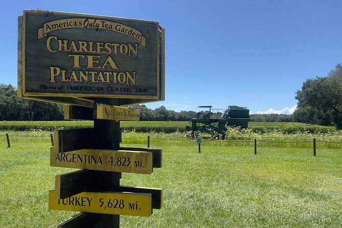Wine Sippin'-Tea Drinkin'-Tree Huggin' Lowcountry Sightseeing - Small-group comfort: guides, treats, and an easier day