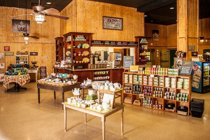 Wine Sippin'-Tea Drinkin'-Tree Huggin' Lowcountry Sightseeing - Should you book this Lowcountry tour or choose something else?