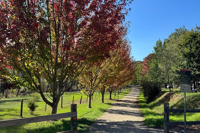 Yarra Valley Foodie Tour, Devonshire Tea, Cheese and Chocolate - Yarra Glen lookout stop: short view time, perfect for photos