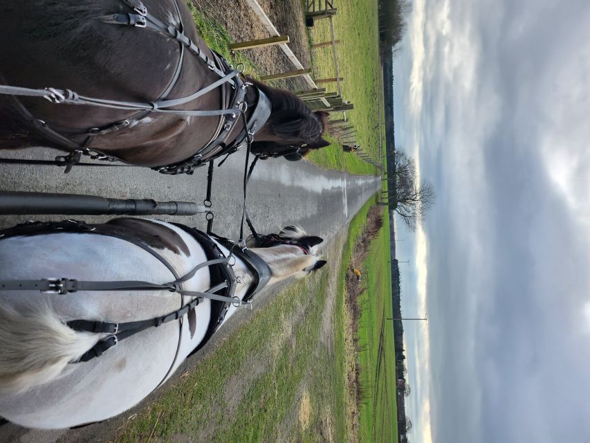 York: Horse Drawn Carriage ride & Cream Tea - Skipwith carriage rides: why this feels calmer than typical tours