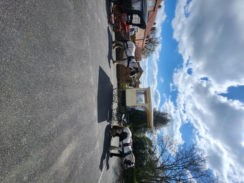 York: Horse Drawn Carriage ride & Cream Tea - Cream tea included: scones, jam, and a proper pause