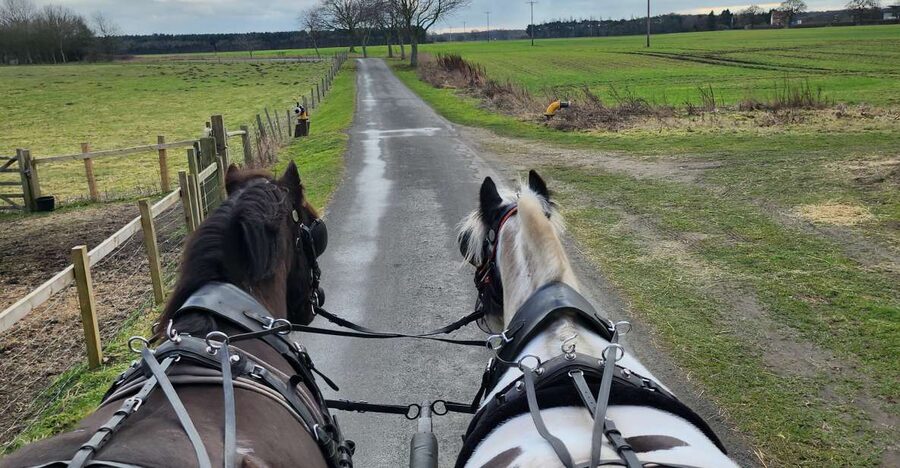 York: Horse Drawn Carriage ride & Cream Tea - The countryside route: what you’re actually going for