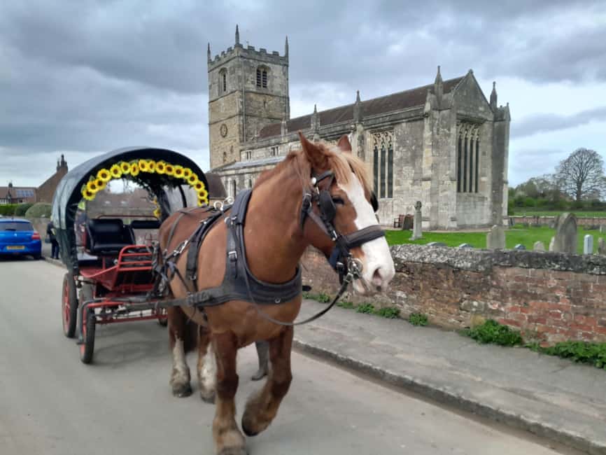 York: Private Horse-Drawn Carriage Ride and Afternoon Tea - Afternoon cream tea after the ride: scones and a cosy tea room